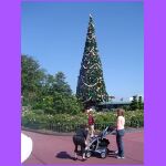 Disney Christmas Tree.jpg